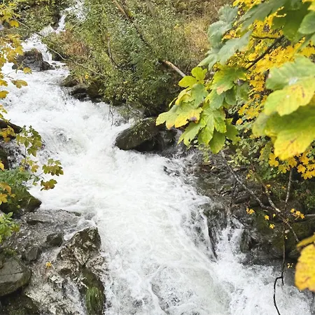 Nockstern Hütte * Ebene Reichenau