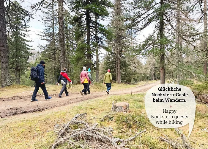 Nockstern Huette Ebene Reichenau